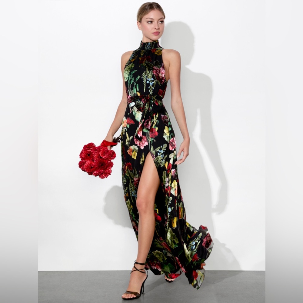 NWT $695 Alice and Olivia Dita Smocked Neck Godet Maxi Dress - Picture 1 of 10